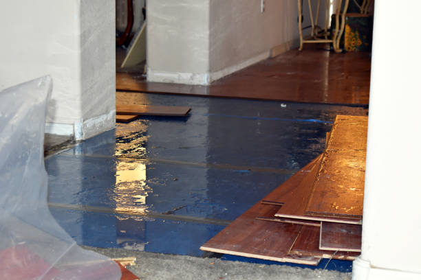 Professional Water Extraction technician working in De Soto, IL